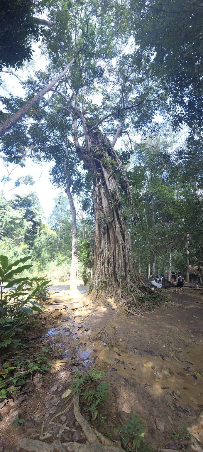Luang Prabang Cycle To Hanoi Tour 8 Days